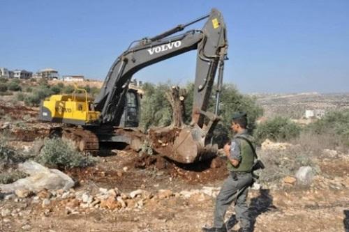 الاحتلال يجرف اراضي زراعية ويعتقل 13 فلسطينيا