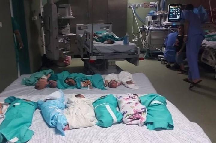 صحة غزة تؤكد وفاة 5 أطفال رضّع
