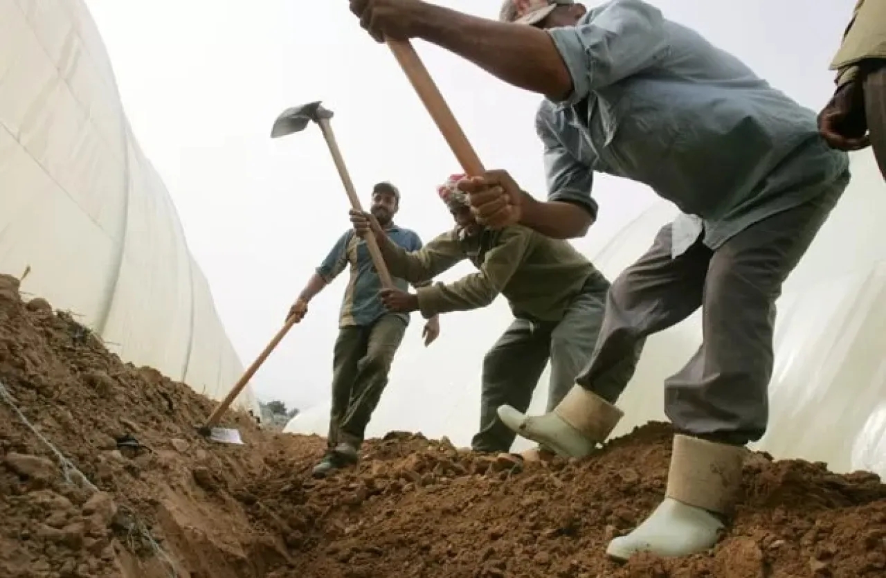 الاردن .. 5257 قرارا بتسفير عمال وافدين في 9 أشهر