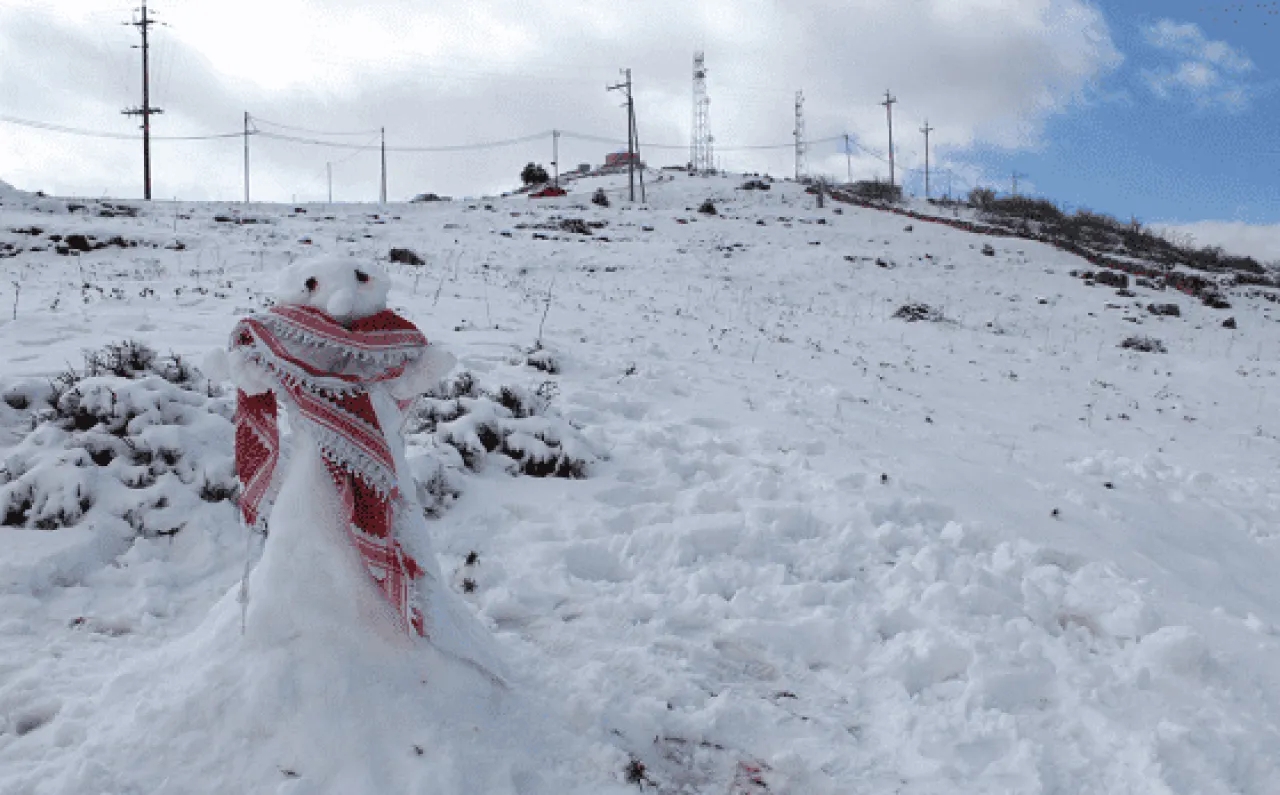 الراصد الأردني مأمون عقل يوضح احتمالات هطول الثلج نهاية الشهر