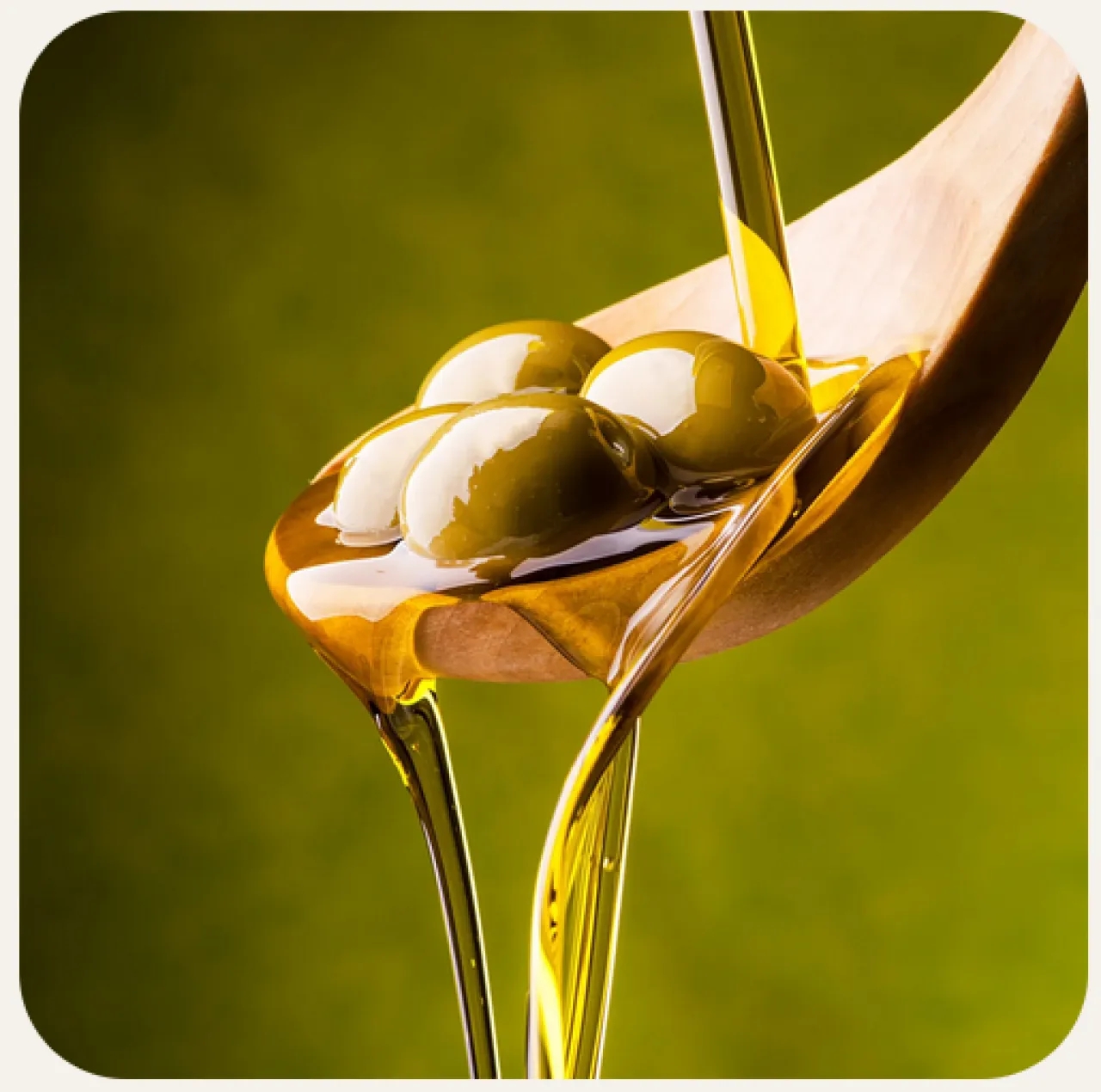 الأردنيون يبدأون تذوق زيت الزيتون المستورد الأسبوع المقبل