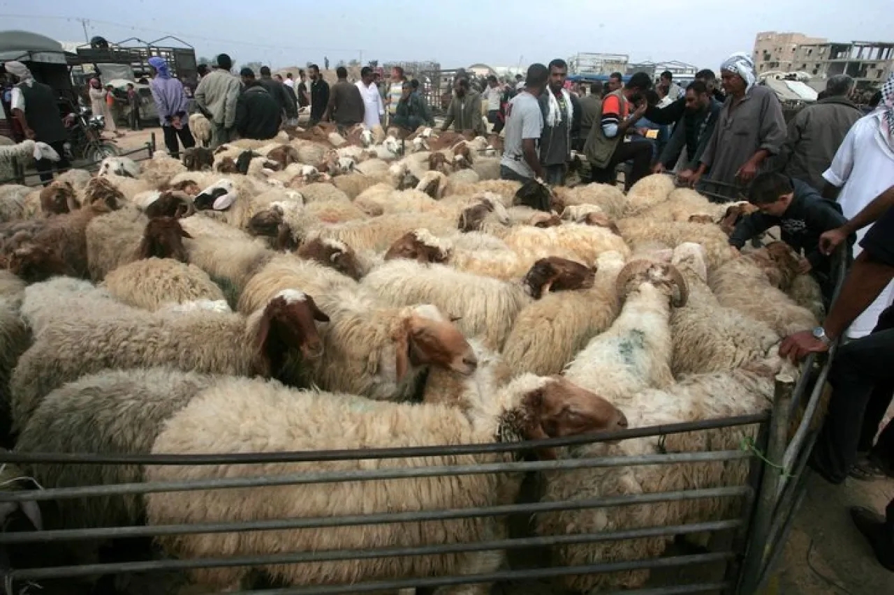 وفاة رجل داخل سوق الحلال في مأدبا وسط الازدحام الخانق