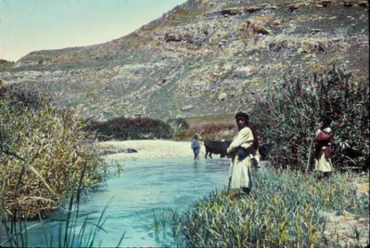 اكتشاف أثري في الزرقاء يضع الأردن بين أقدم مواقع الاستيطان البشري خارج أفريقيا